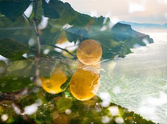 Da Salvatore B&B Ravello Zewnętrze zdjęcie